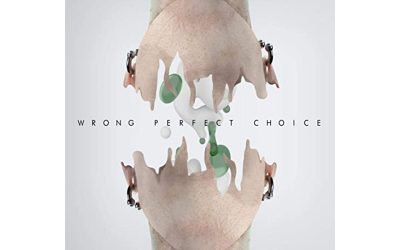 Wrong Perfect Choice